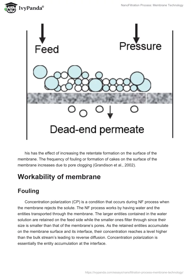 NanoFiltration Process: Membrane Technology. Page 5