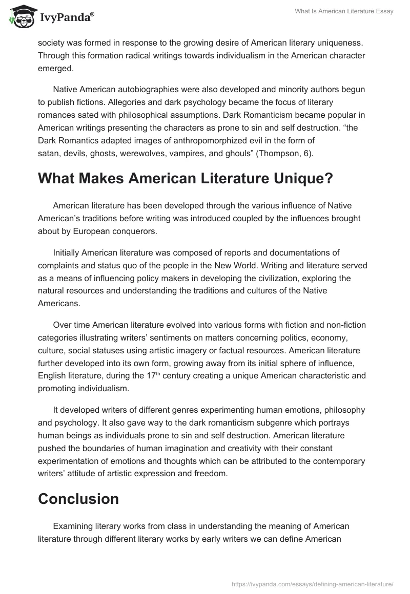 What Is American Literature Essay. Page 3