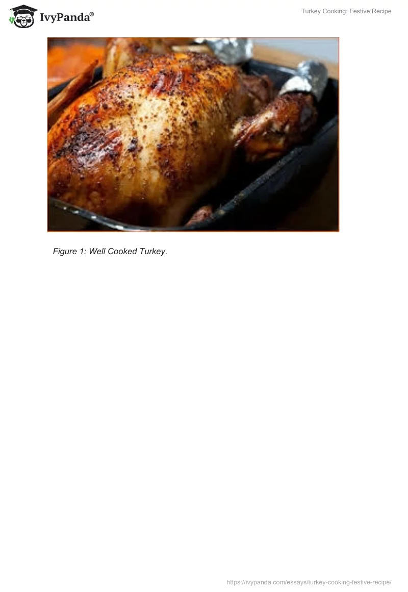 Turkey Cooking: Festive Recipe. Page 2
