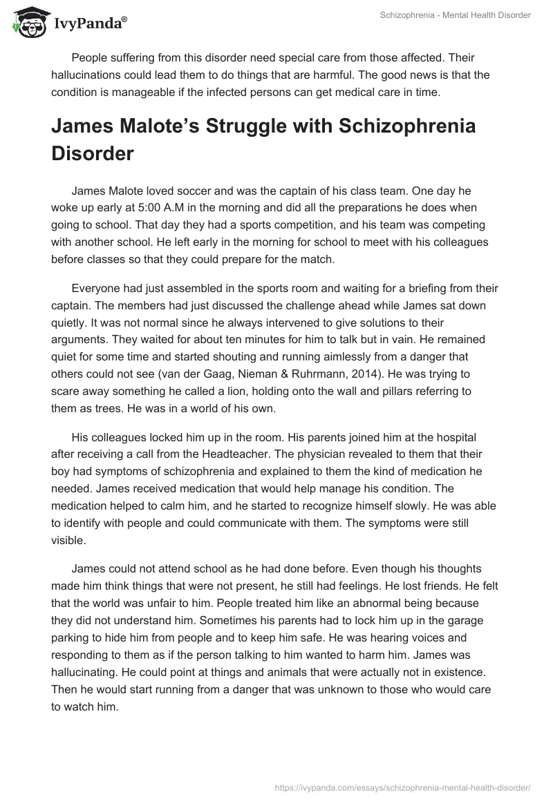 Schizophrenia - Mental Health Disorder. Page 3
