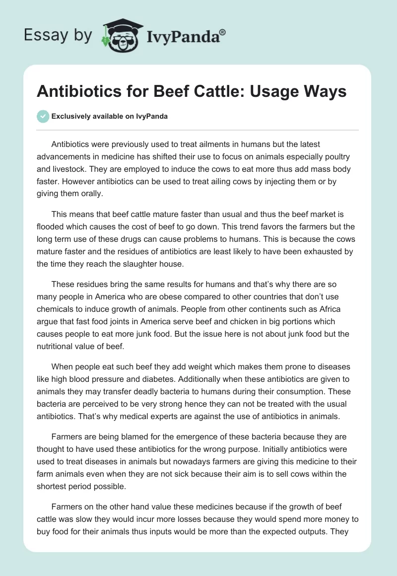 Antibiotics for Beef Cattle: Usage Ways. Page 1