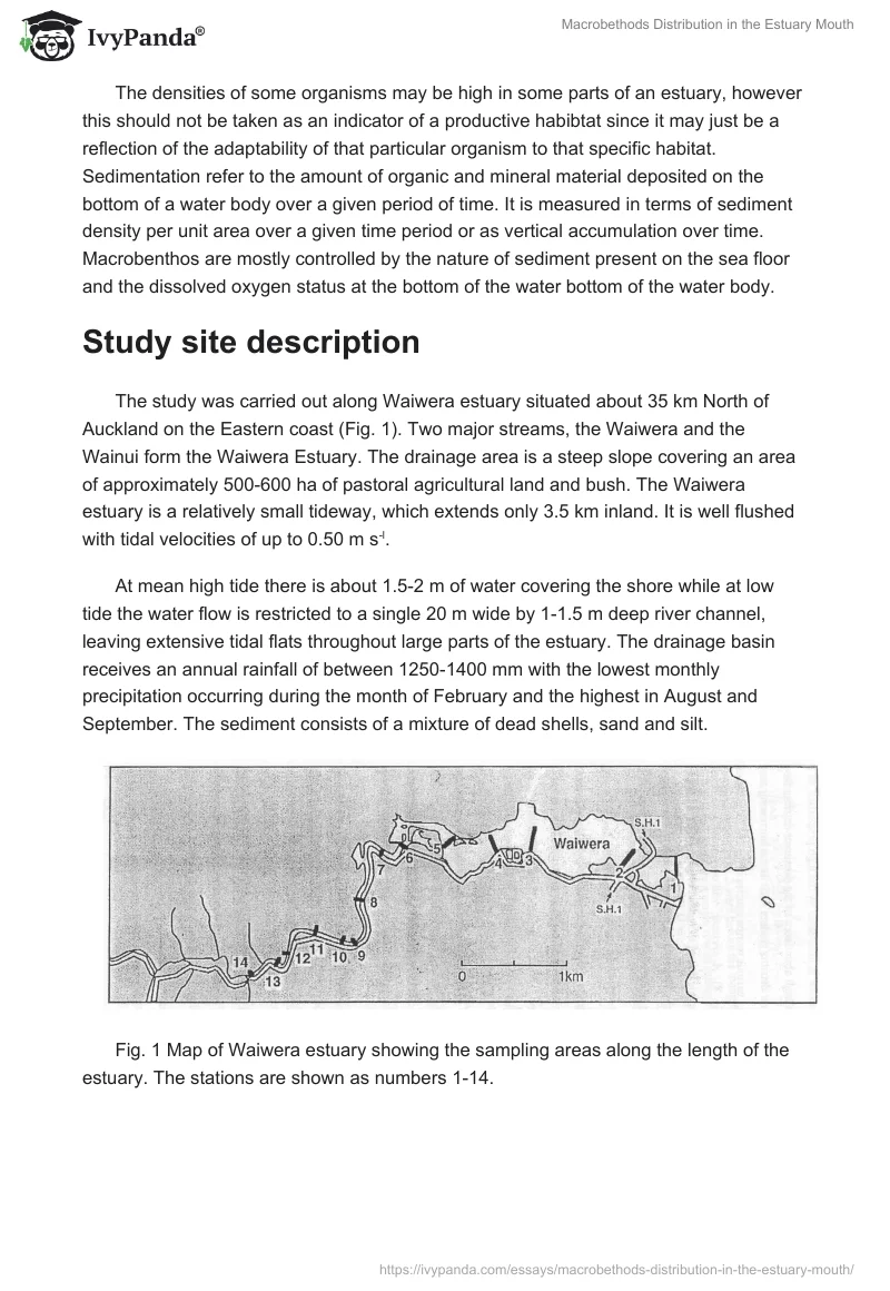 Macrobethods Distribution in the Estuary Mouth. Page 3