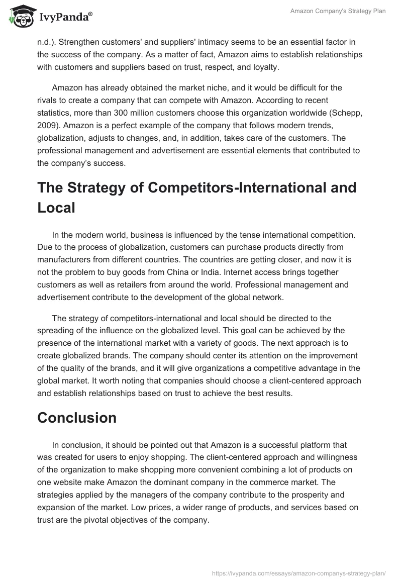 Amazon Company's Strategy Plan. Page 3