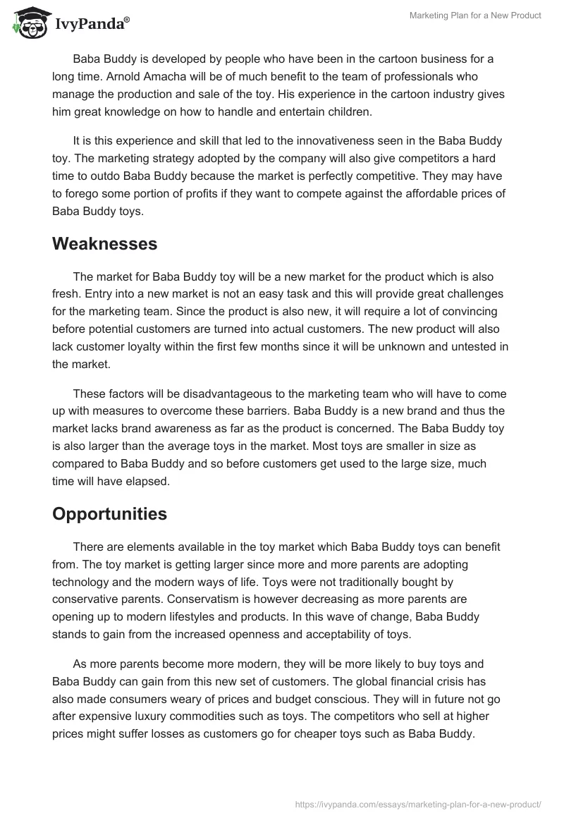 Marketing Plan for a New Product. Page 4