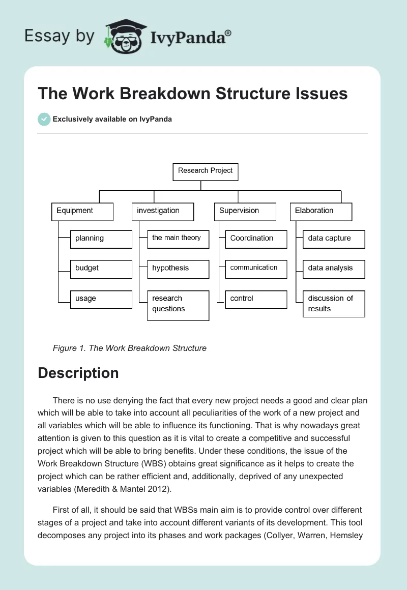 The Work Breakdown Structure Issues. Page 1