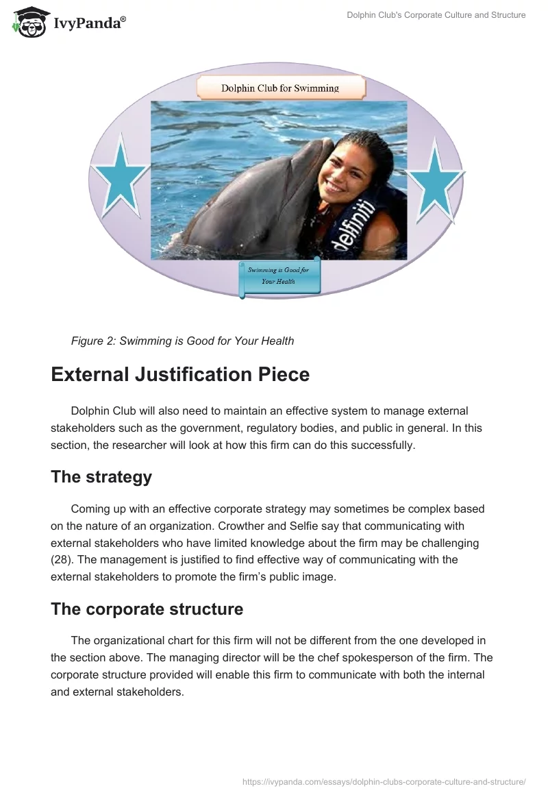 Dolphin Club's Corporate Culture and Structure. Page 4