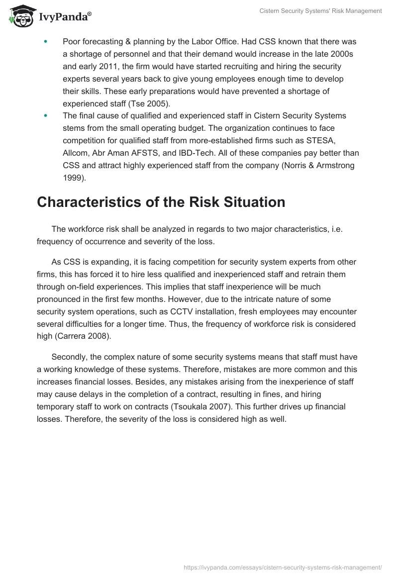 Cistern Security Systems' Risk Management. Page 3