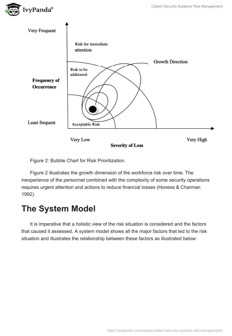 Cistern Security Systems' Risk Management. Page 5