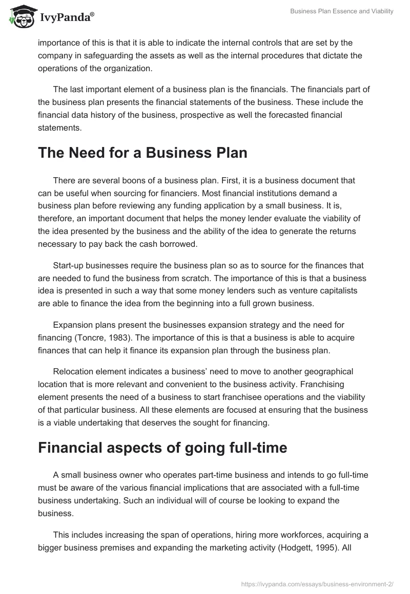 Business Plan Essence and Viability. Page 3