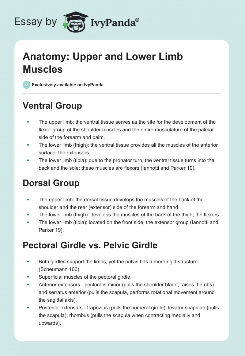 Anatomy: Upper and Lower Limb Muscles. Page 1