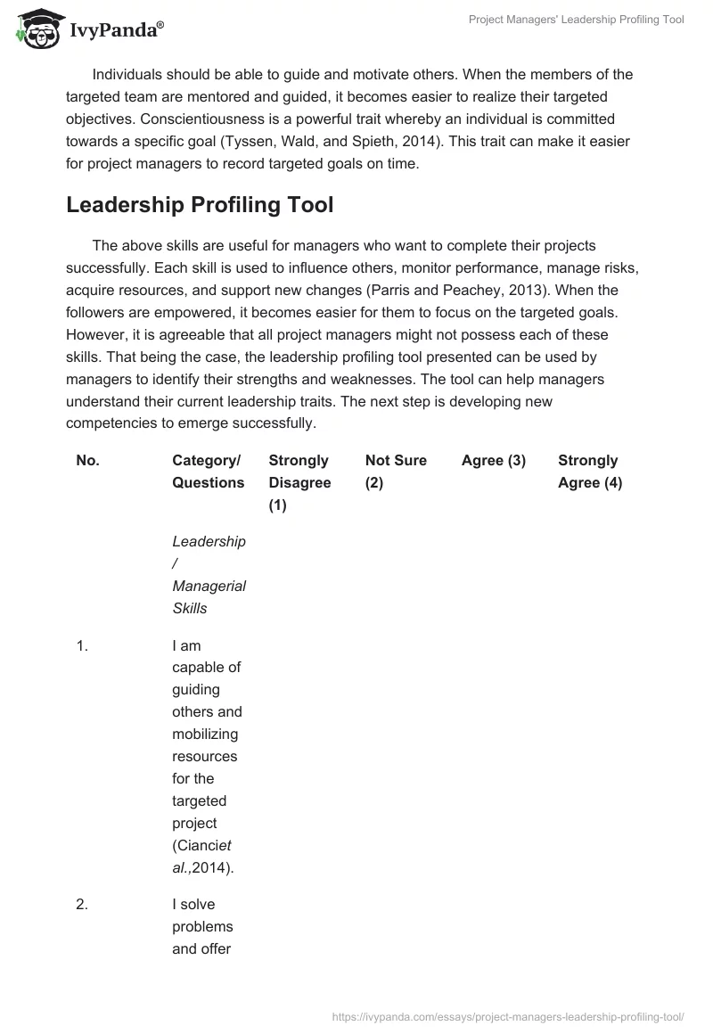 Project Managers' Leadership Profiling Tool. Page 3