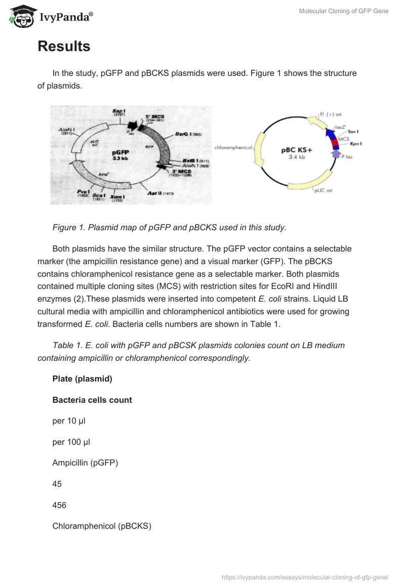 Molecular Cloning of GFP Gene. Page 3