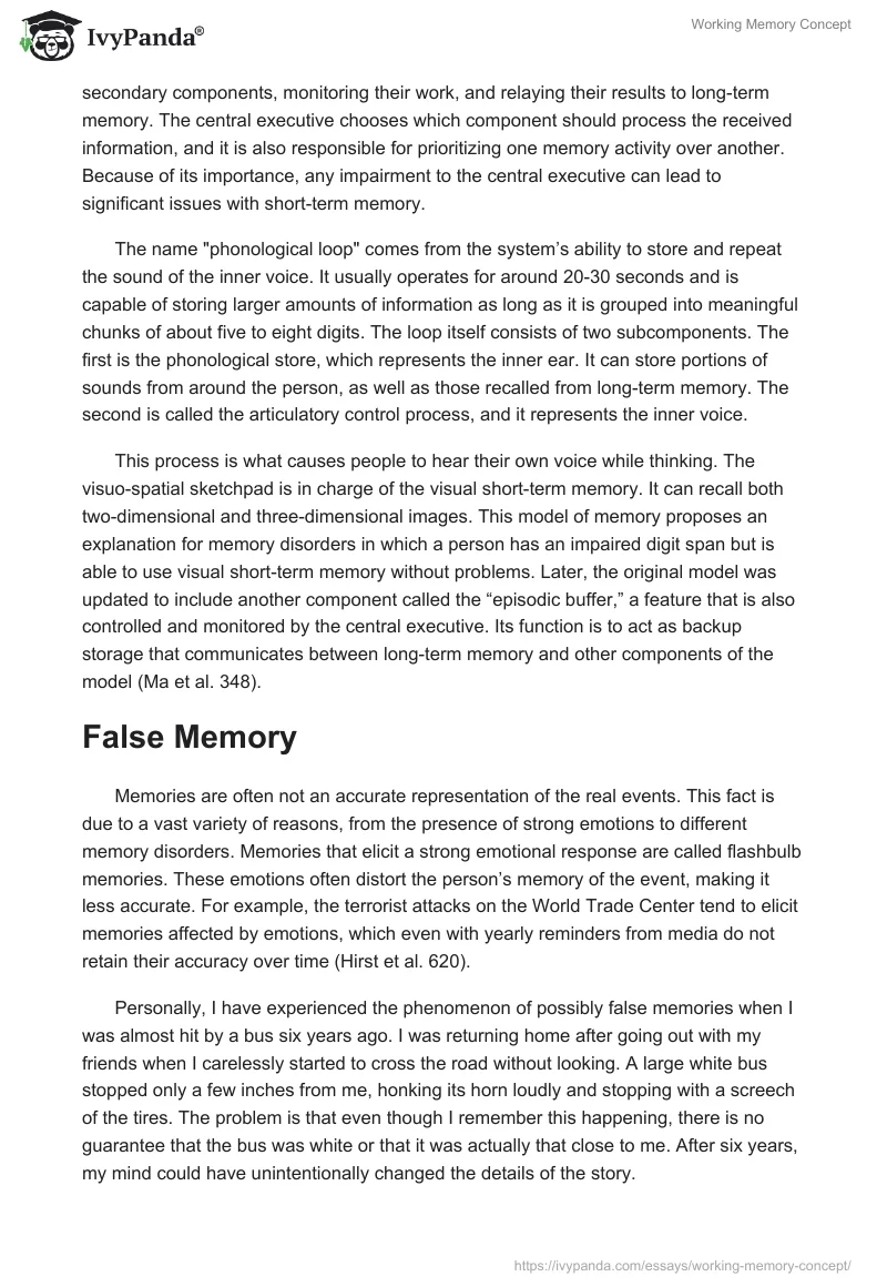 Working Memory Concept. Page 2