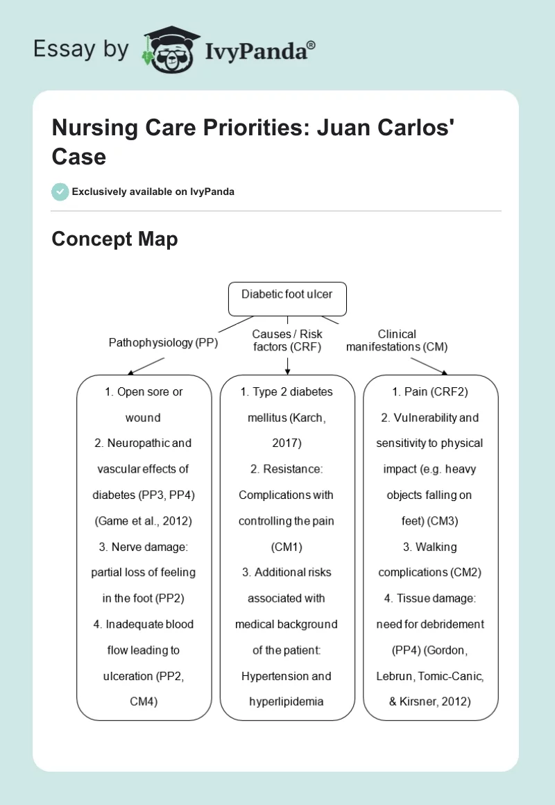 Nursing Care Priorities: Juan Carlos' Case. Page 1