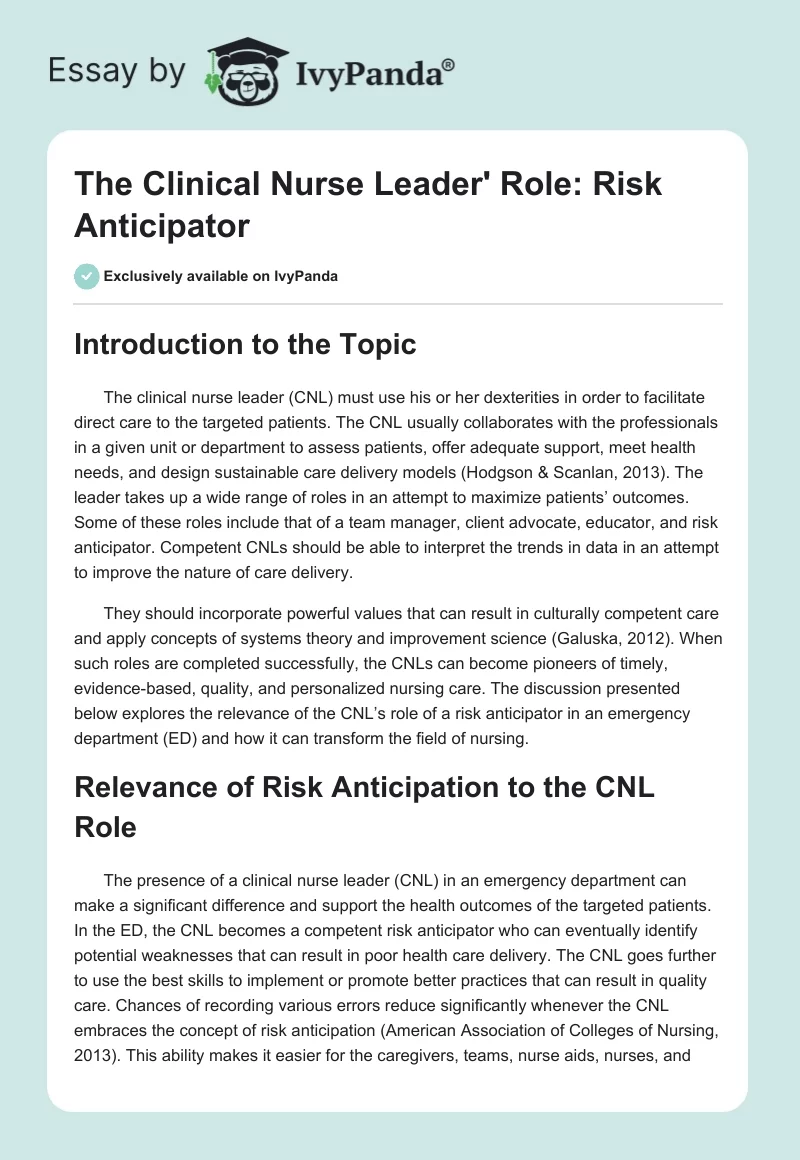 The Clinical Nurse Leader' Role: Risk Anticipator. Page 1