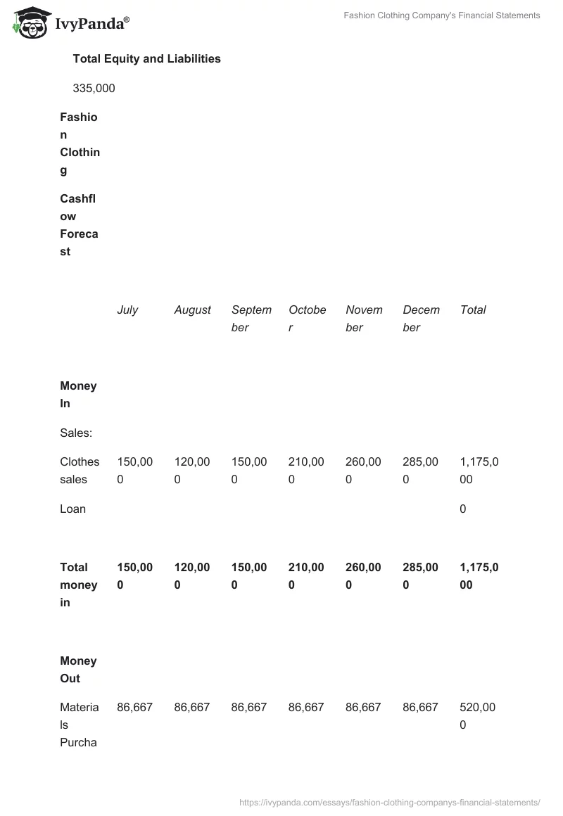 Fashion Clothing Company's Financial Statements. Page 4