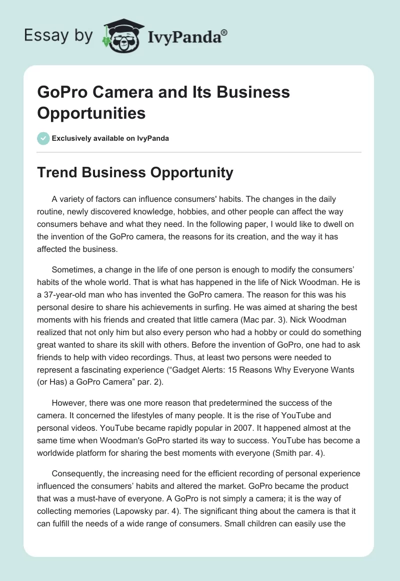 GoPro Camera and Its Business Opportunities. Page 1
