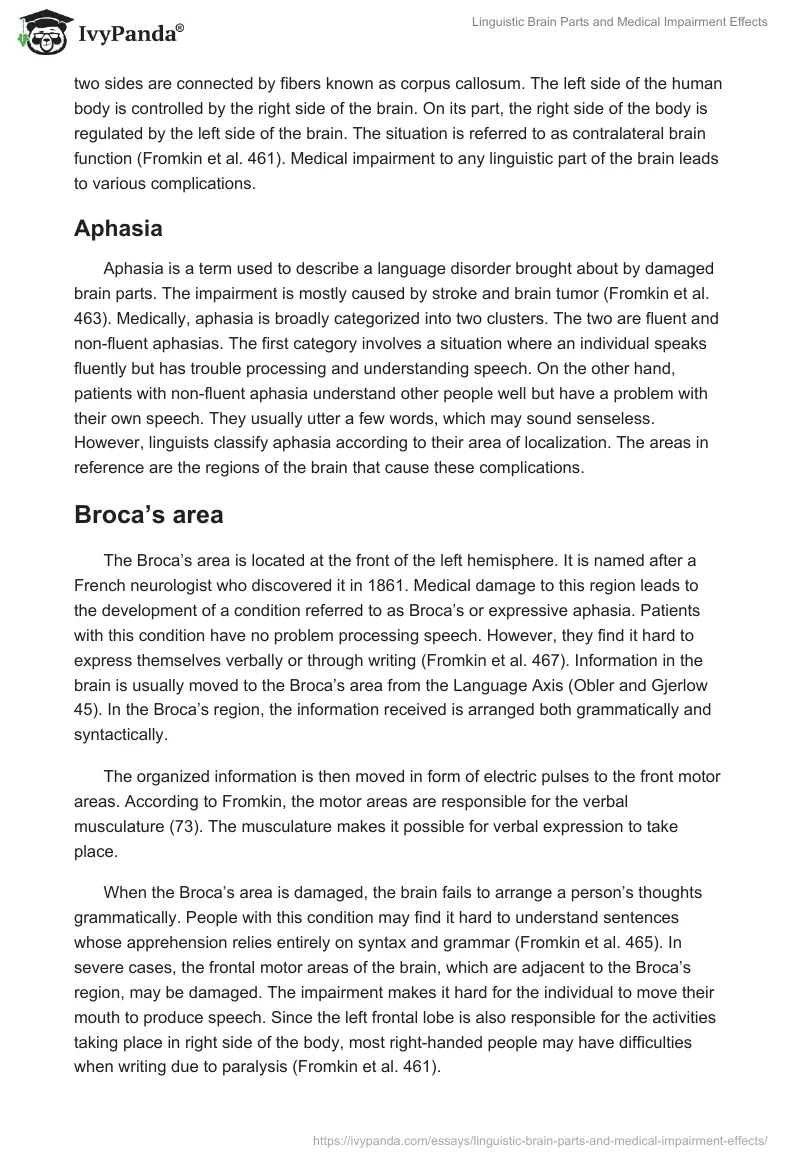 Linguistic Brain Parts and Medical Impairment Effects. Page 2
