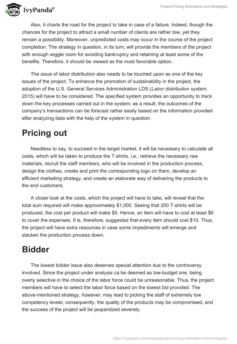 Project Pricing Estimation and Strategies. Page 3