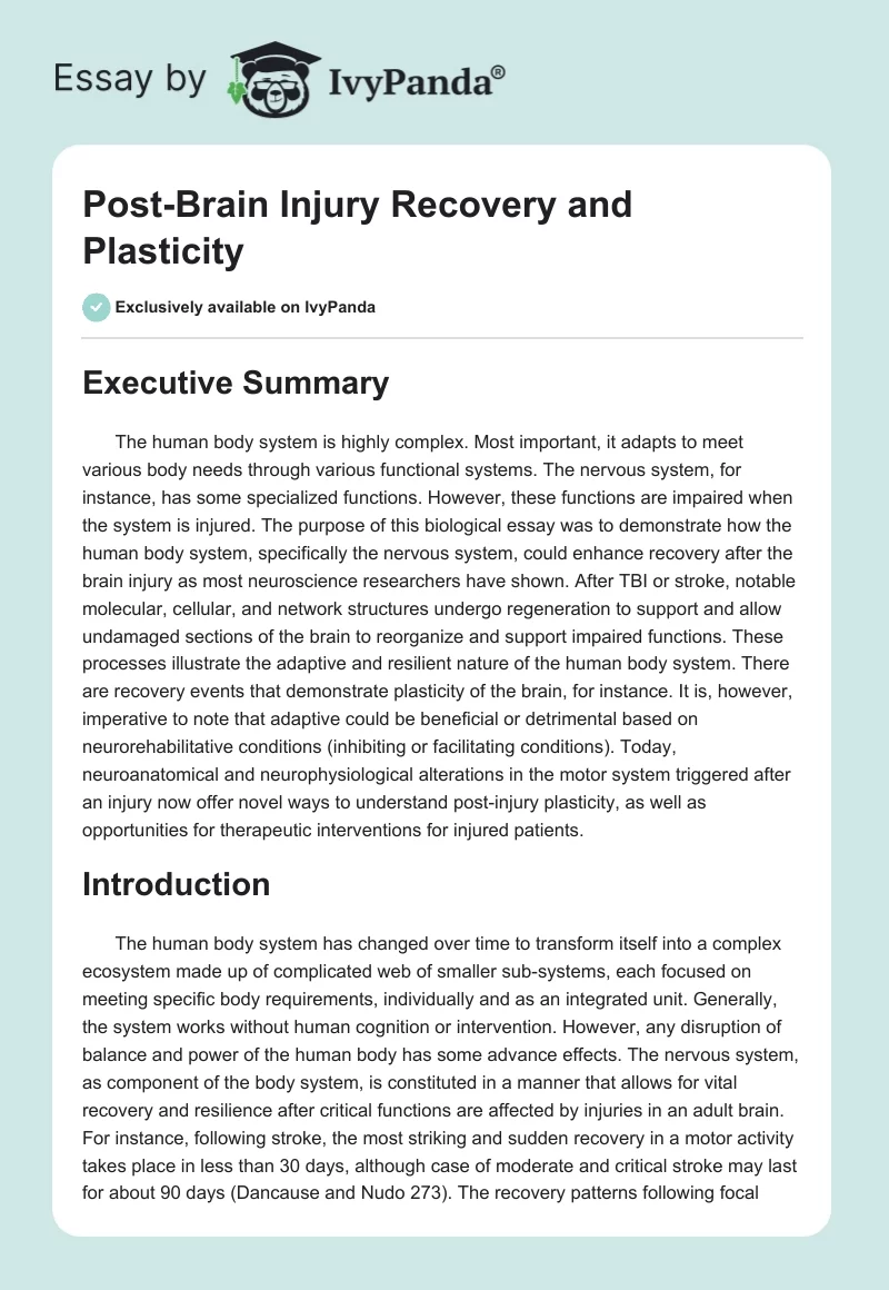 Post-Brain Injury Recovery and Plasticity. Page 1
