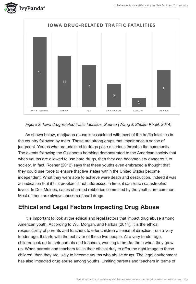 Substance Abuse Advocacy in Des Moines Community. Page 5