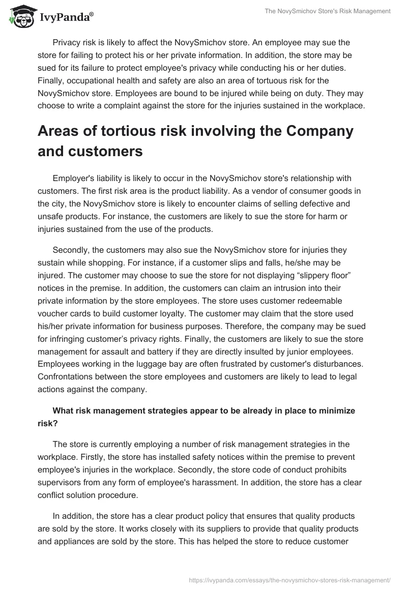 The NovySmichov Store's Risk Management. Page 2