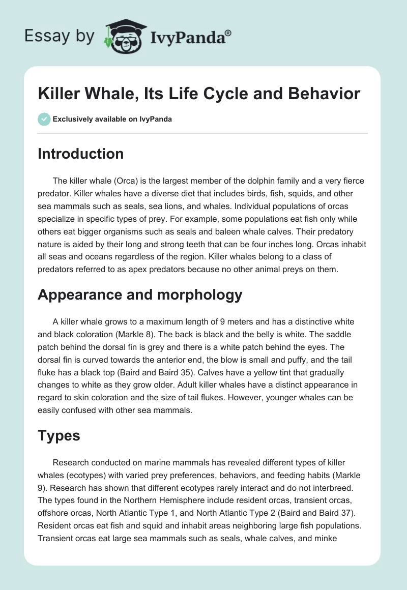Killer Whale, Its Life Cycle and Behavior. Page 1