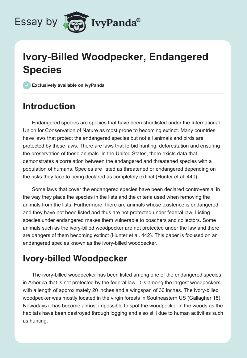 Ivory-Billed Woodpecker, Endangered Species. Page 1