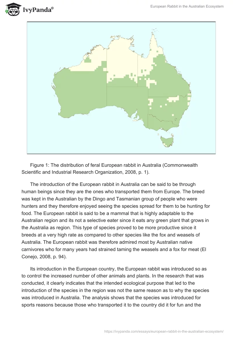 European Rabbit in the Australian Ecosystem. Page 2