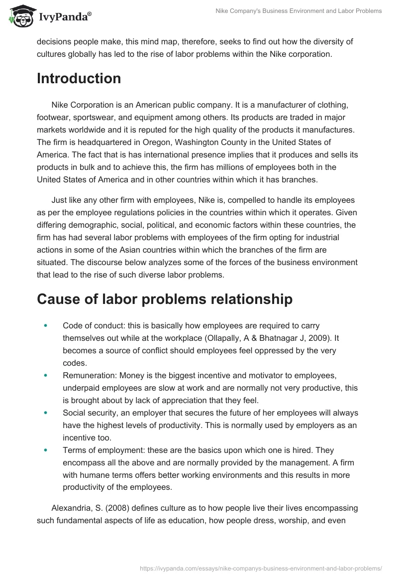 Nike Company's Business Environment and Labor Problems. Page 2