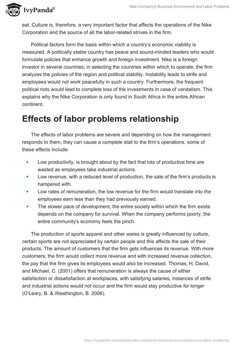 Nike Company's Business Environment and Labor Problems. Page 3