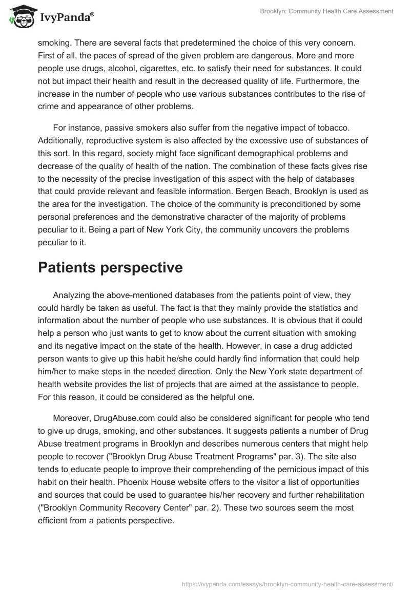 Brooklyn: Community Health Care Assessment. Page 3