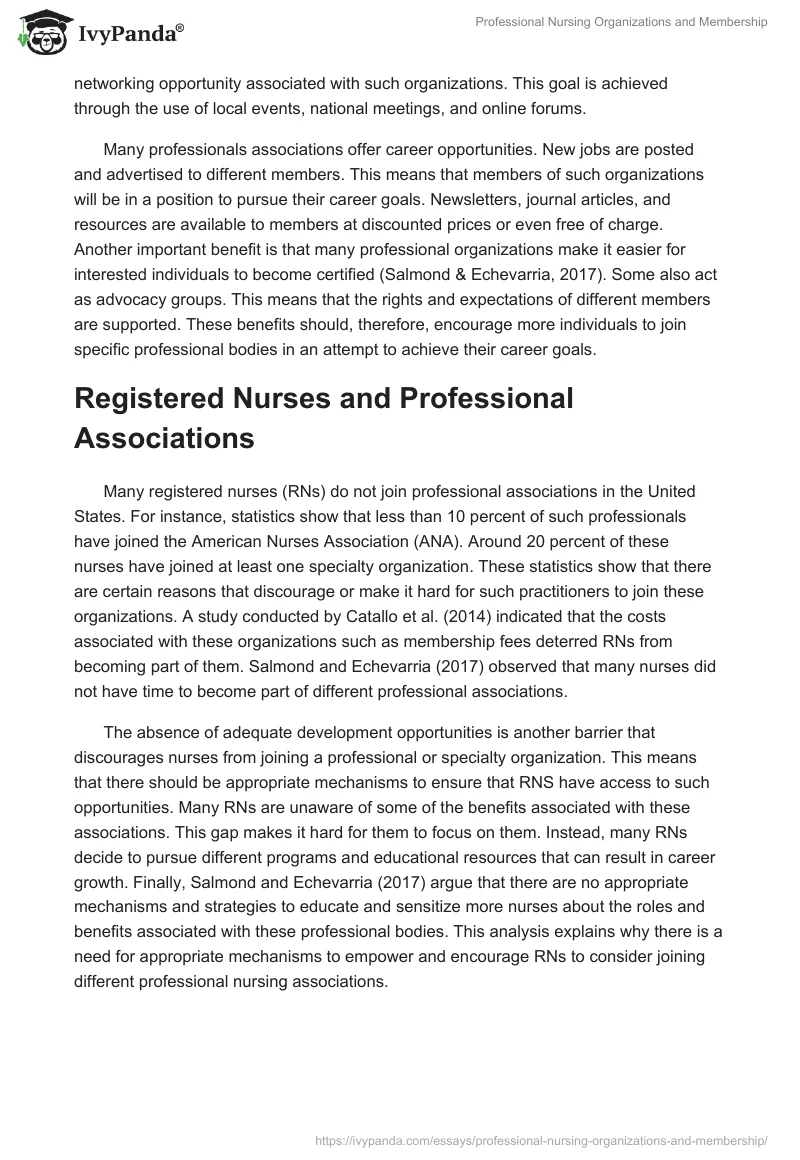 Professional Nursing Organizations and Membership. Page 3