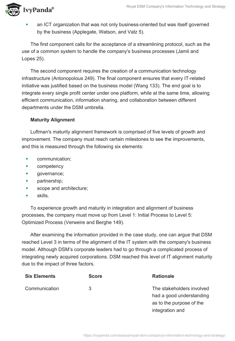 Royal DSM Company's Information Technology and Strategy. Page 2
