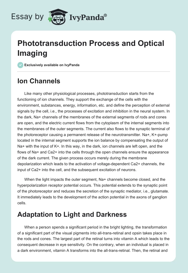 Phototransduction Process and Optical Imaging. Page 1
