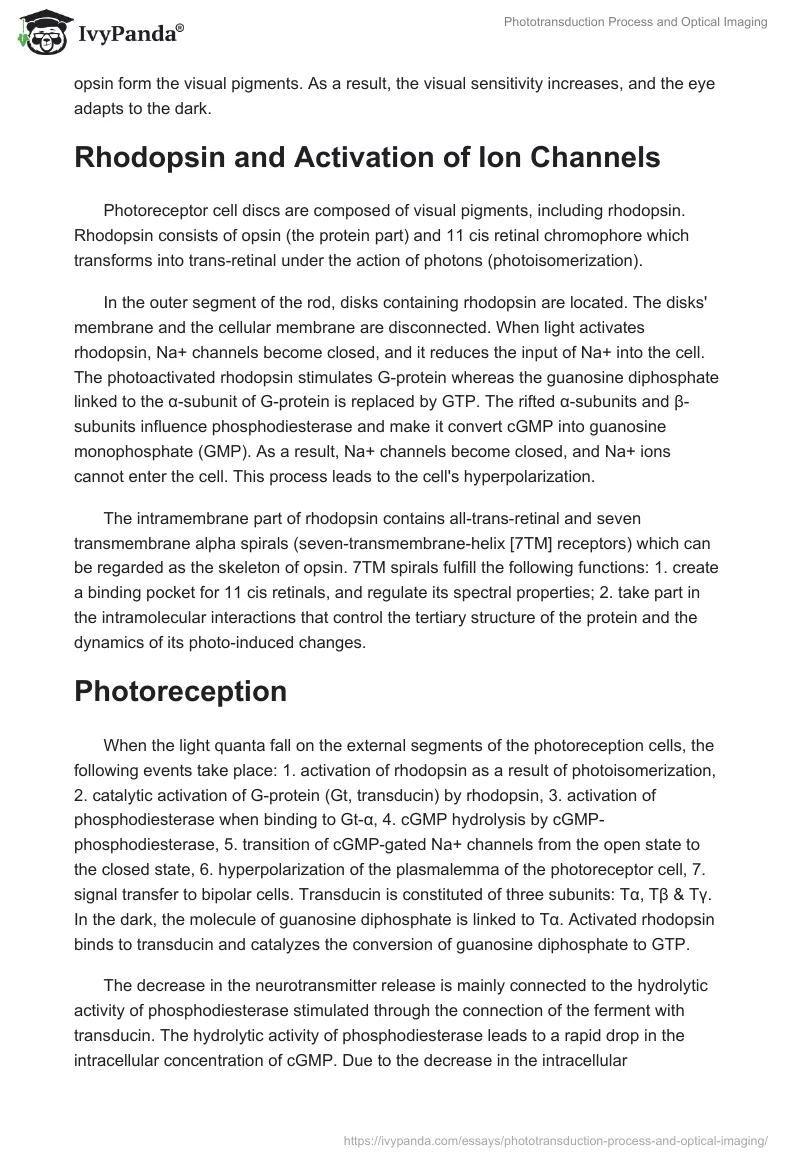 Phototransduction Process and Optical Imaging. Page 2