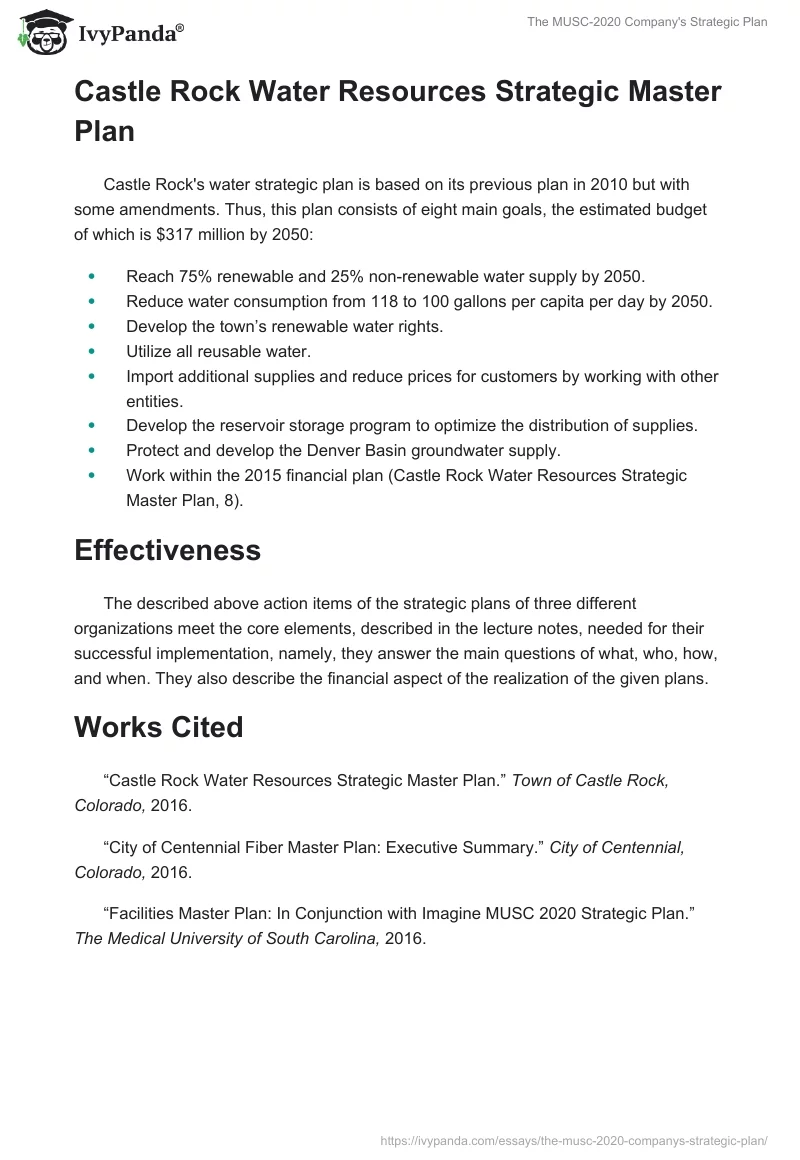 The MUSC-2020 Company's Strategic Plan. Page 2