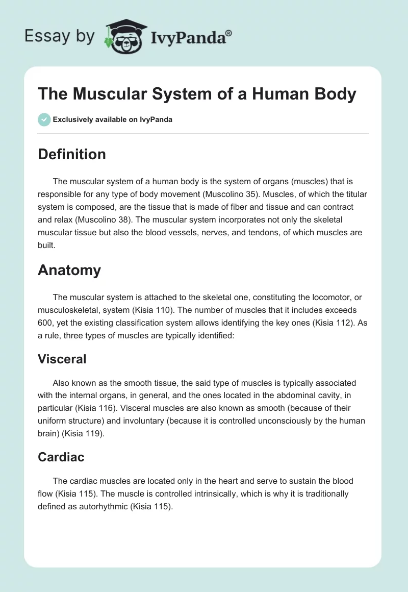 The Muscular System of a Human Body. Page 1