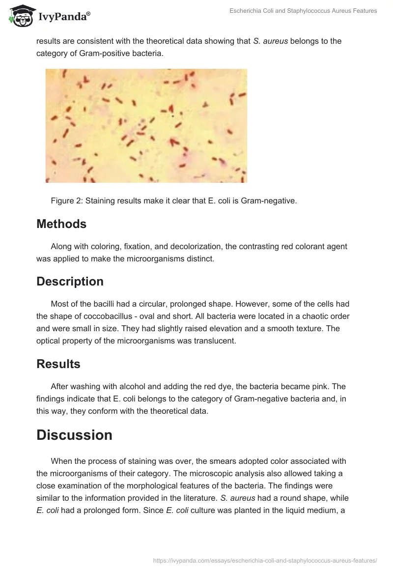 Escherichia Coli and Staphylococcus Aureus Features. Page 4