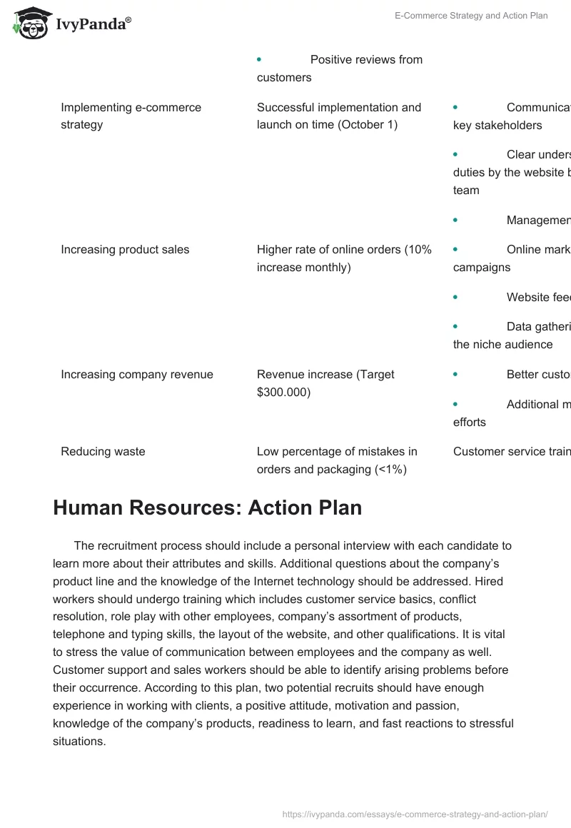 E-Commerce Strategy and Action Plan. Page 3