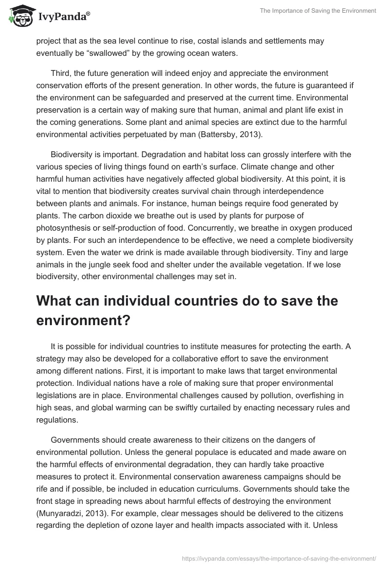 The Importance of Saving the Environment. Page 2