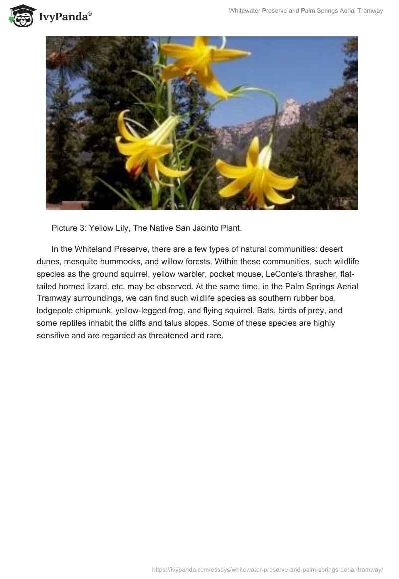 Whitewater Preserve and Palm Springs Aerial Tramway. Page 3