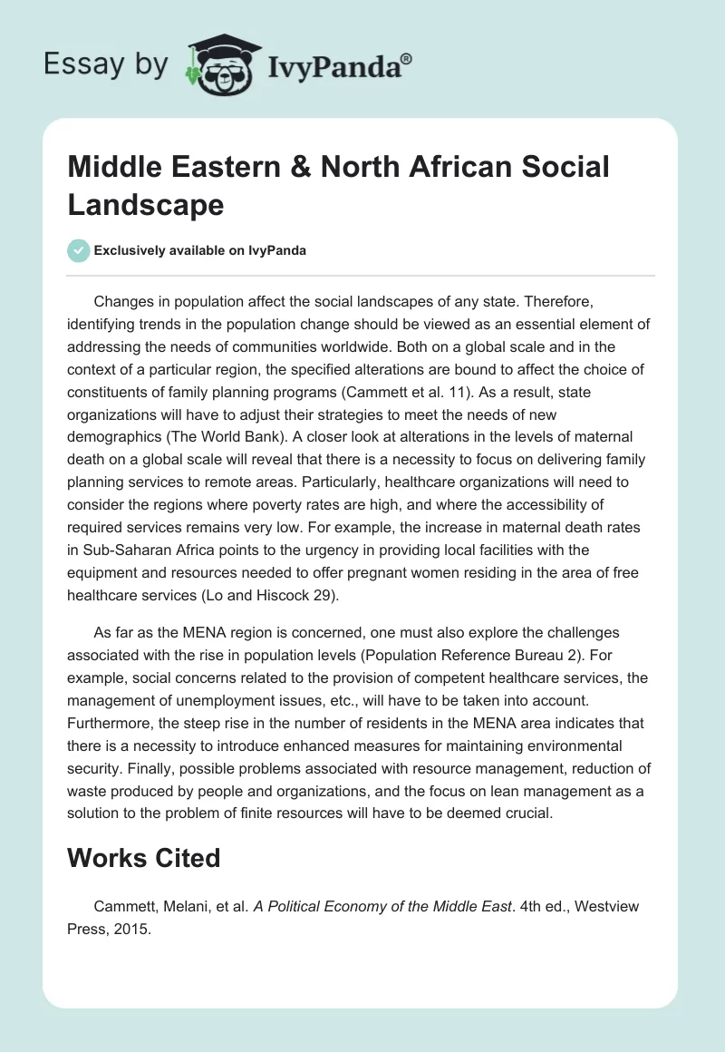 Middle Eastern & North African Social Landscape. Page 1
