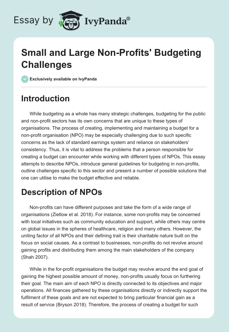 Small and Large Non-Profits' Budgeting Challenges. Page 1