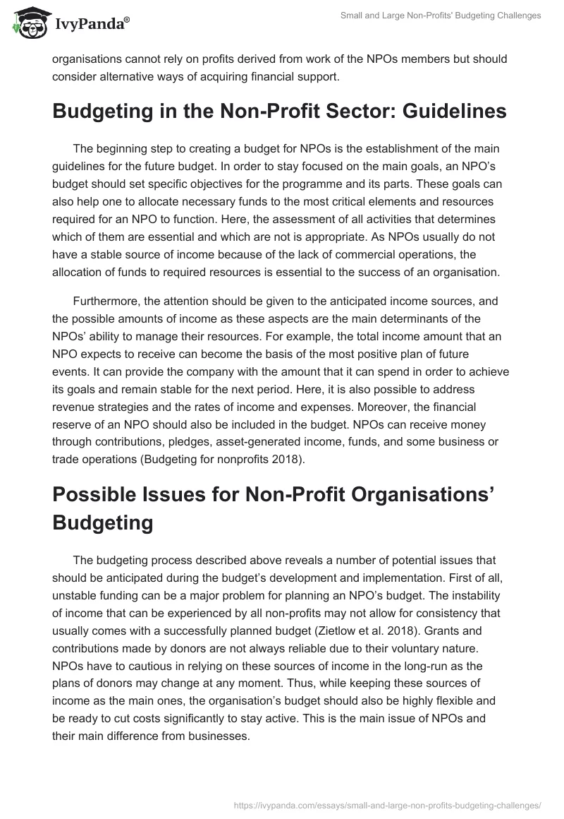 Small and Large Non-Profits' Budgeting Challenges. Page 2