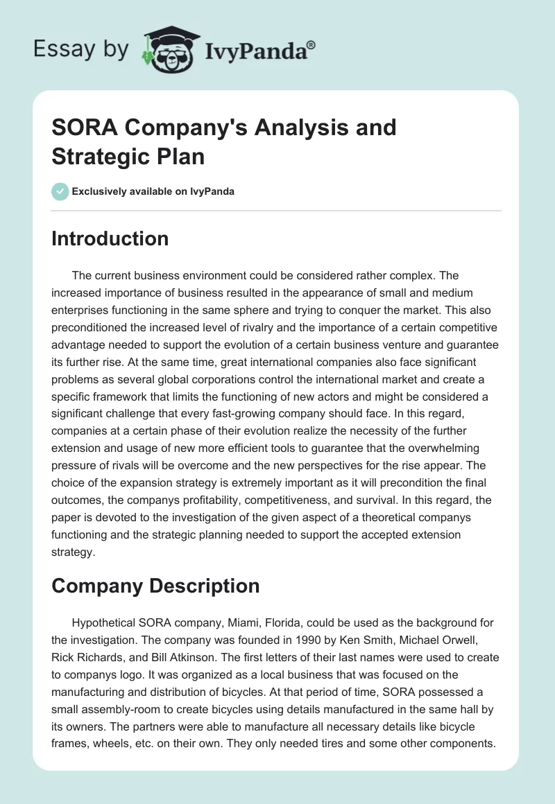 SORA Company's Analysis and Strategic Plan. Page 1