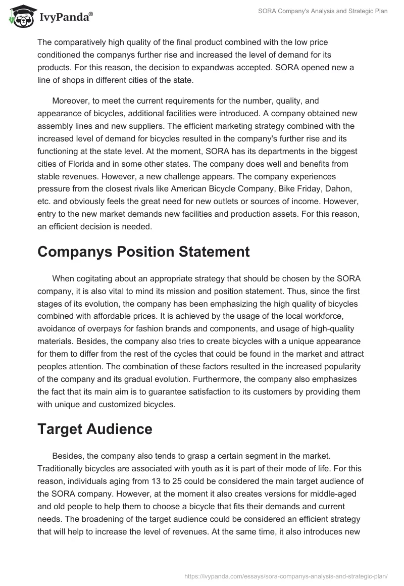 SORA Company's Analysis and Strategic Plan. Page 2