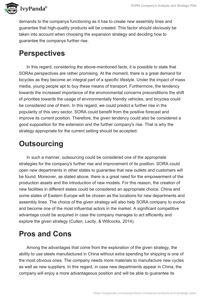 SORA Company's Analysis and Strategic Plan. Page 3
