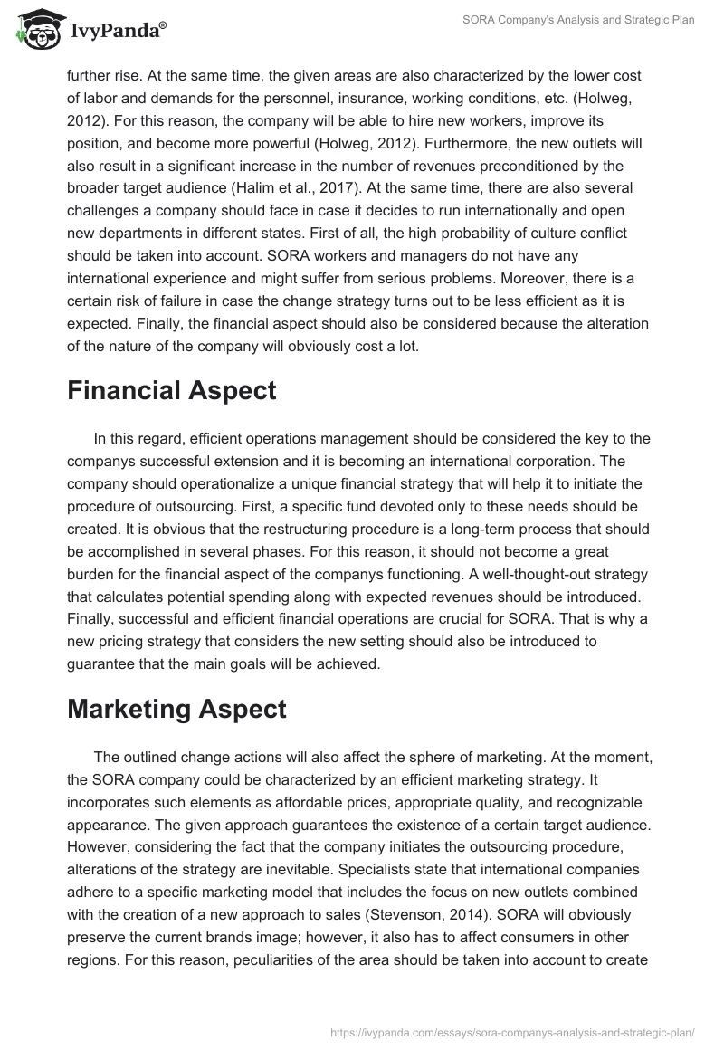 SORA Company's Analysis and Strategic Plan. Page 4