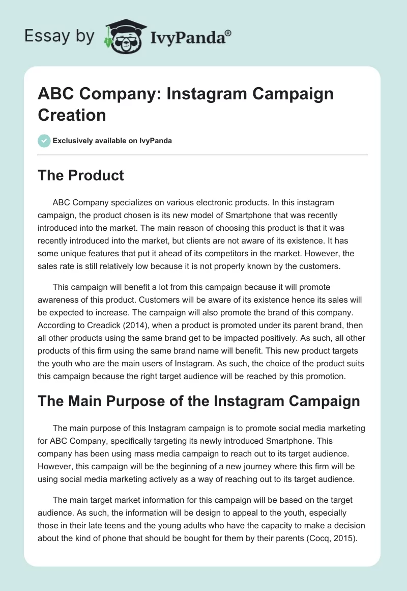 ABC Company: Instagram Campaign Creation. Page 1